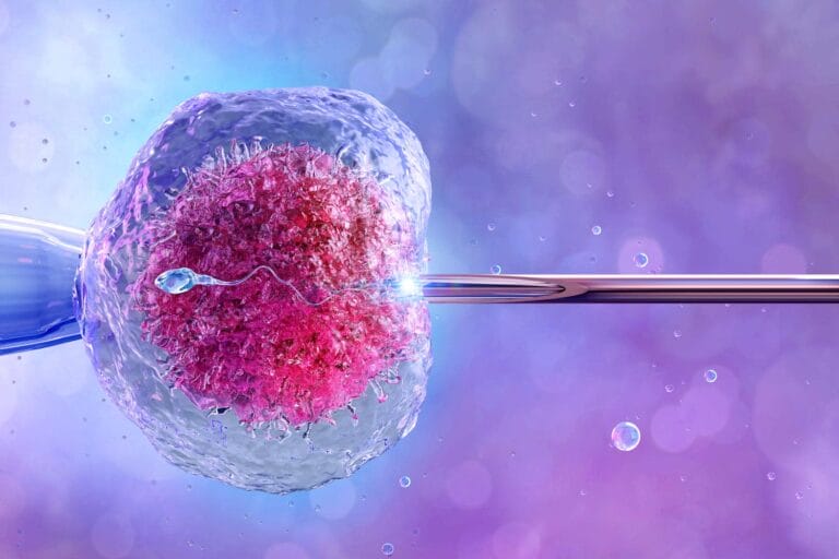 افضل دكتور أطفال أنابيب في مصر